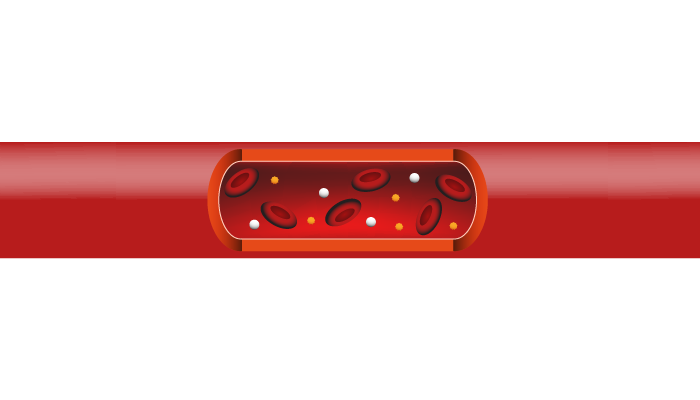 Diagram of a blood vessel with blood cells